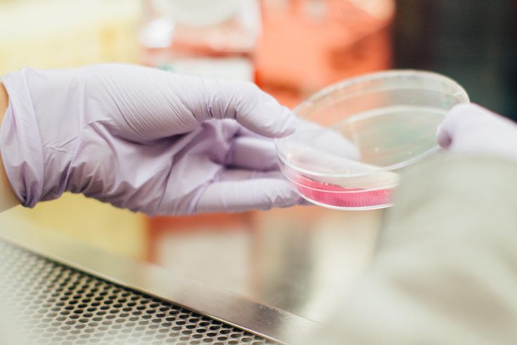 Schweizer Hotel bietet Corona-Tests im Quarantäne-Paket ...