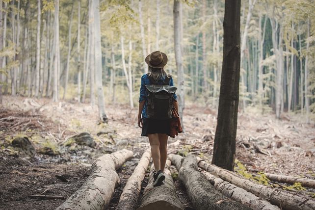NaturMomente, Airbnb, Deutscher Tourismusverband, DTV, ländlicher Tourismus, Tourismusförderung, Tourismusprojekte, Ostdeutschland, Projektwettbewerb