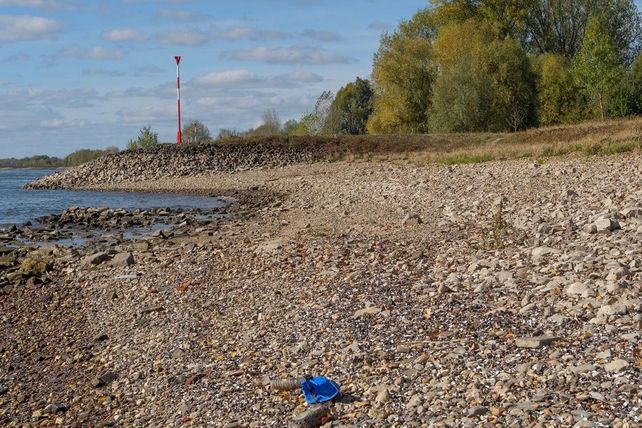 Rhein Niedrigwasser