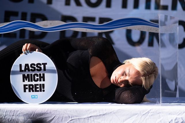 Sarah Connor, PETA, Tui, Orcas