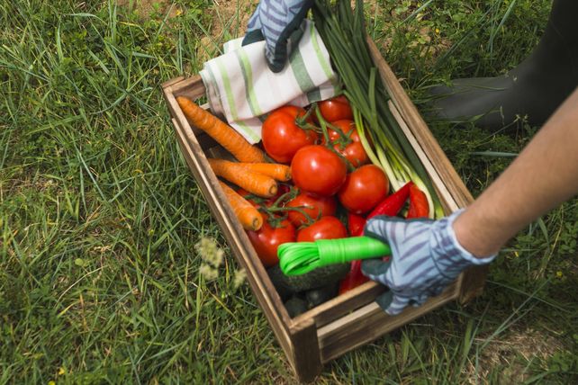 Außer-Haus-Verpflegung