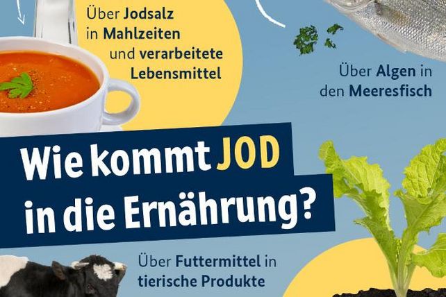 Kampagne, Ernährungsministeriums, Jodsalz