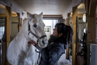 Sonnenalp Resort, Hofgut, Ofterschwang, Familie Fäßler, Reithalle Allgäu, Hofgutlofts, Reitercamps, Luxusresort Bayern, Hotelneueröffnung 2026, Pferdesport Allgäu