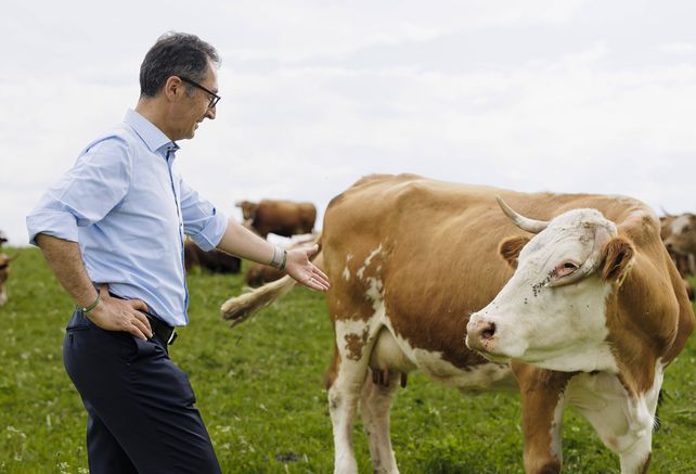 Özdemir, Mehrwertsteuer, Fleisch