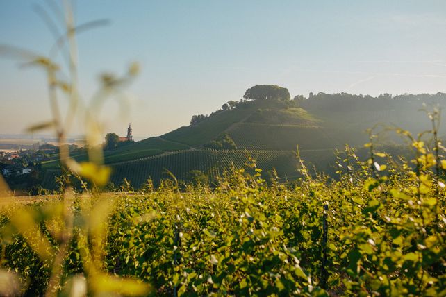 VDP-Weingüter, Preissteigerungen