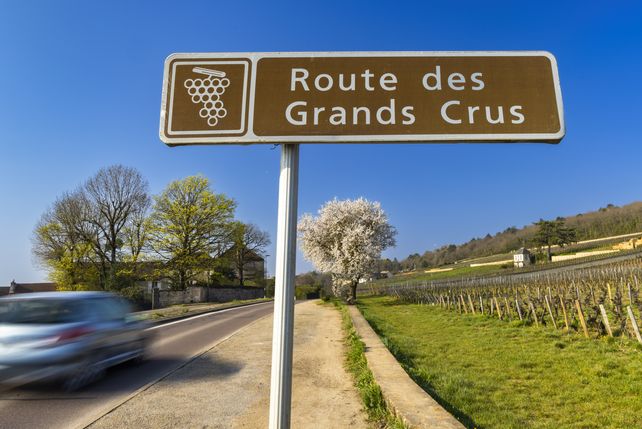 Frankreich, exportiert, Wein, Preise, Abastz