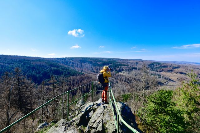 Übernachtungszahlen, Harz