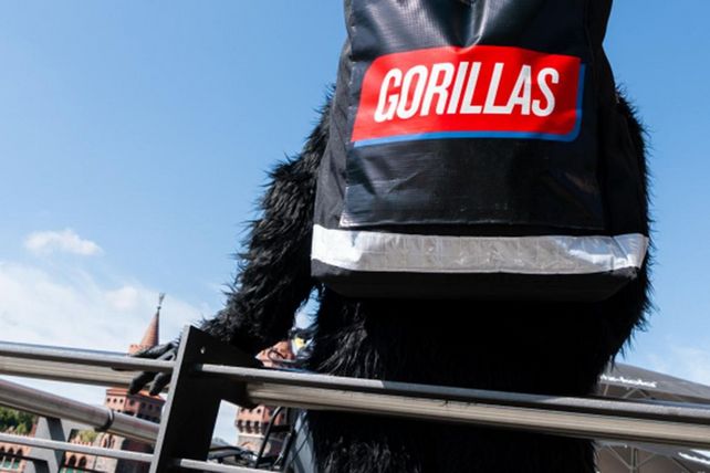 Gorillas 
