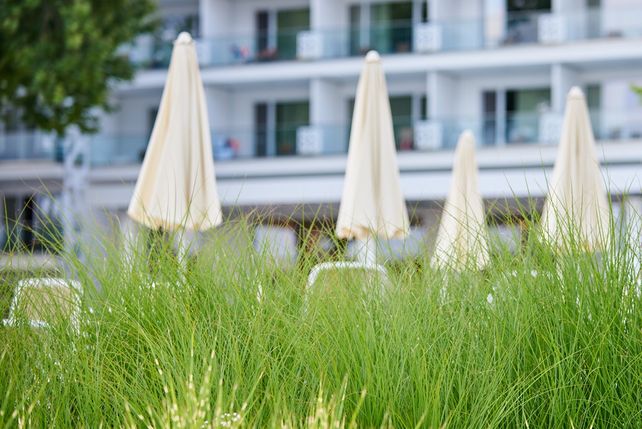 EmpCo-Richtlinie, Greenwashing, Hotellerie, Gastronomie, Nachhaltigkeitskommunikation, Hotelmarketing, Umweltwerbung, klimaneutral, nachhaltiges Hotel, DZT, Tourismusnetzwerk Baden-Württemberg, UWG, EU-Richtlinie 2024/825, Nachhaltigkeit Hotel, Nachhaltigkeit Gastronomie