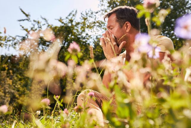 Allergiker Urlaub Reisen Pollen
