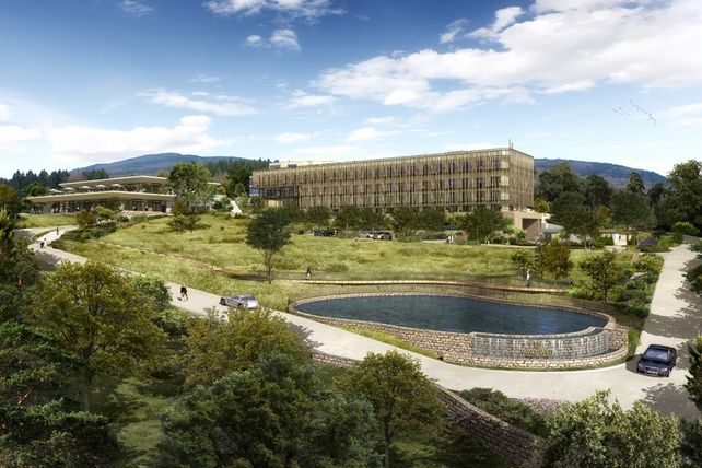 Wald.Weit, Hotel, Rheingau, Kiedrich