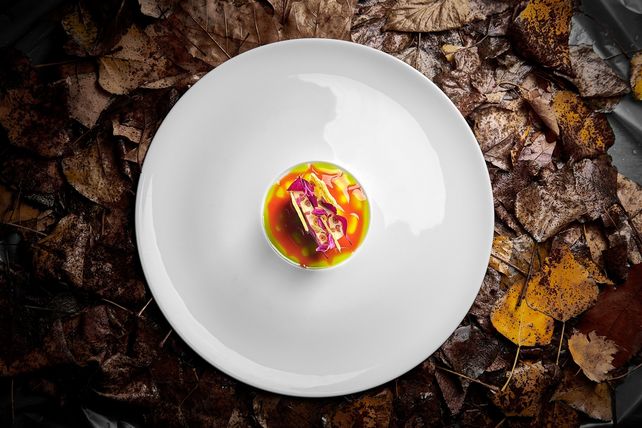 Guide Michelin 2026, 23. Juni 2026, Frankfurt am Main, Sterne-Verleihung, Gastronomie, Gesellschaftshaus Palmengarten, Michelin-Sterne, Gastronomie-Auszeichnung, Restaurant-Guide