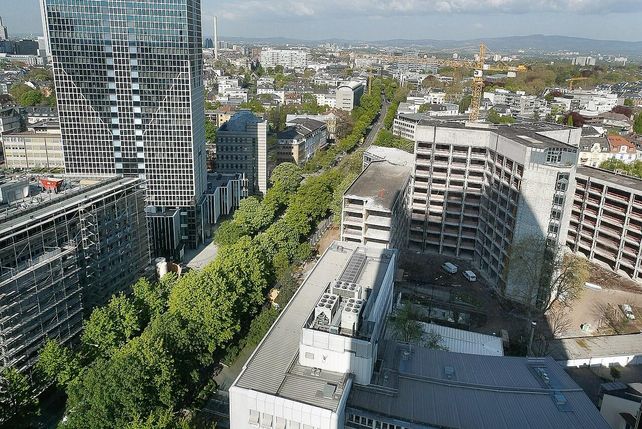 Bockenheimer Landstraße, Frankfurt, Wirte Frankfurt, Straßenumbau Frankfurt, Yannick Schwander, Gastronomie Frankfurt, Frankfurter Gastronomen, Westend Frankfurt, Hotel Palmenhof, Mon Amie Maxi