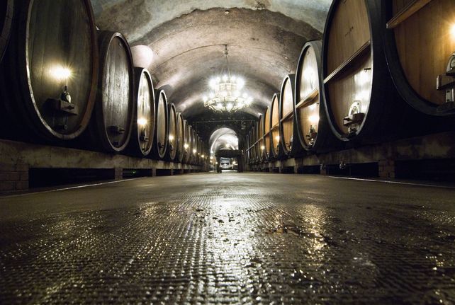 Staatlicher Hofkeller Würzburg