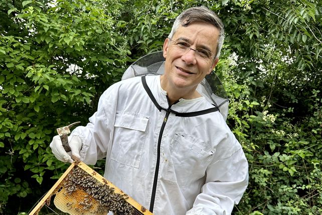Rolf Slickers, Bienen, Servitex