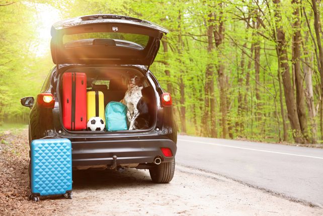 Österreicher Urlaub Auto