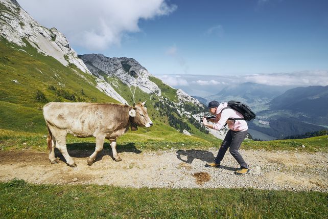 Urlaub, Instagramability