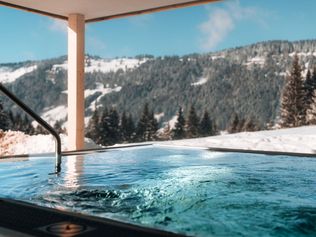 Berghotel Wald und Wiesn, Balderschwang, Hotelentwicklung Oberallgäu, Hotelsanierung, Tagungshotel, Wellnessangebot, Matthias Lenz, Tourismus Allgäu, energetische Modernisierung