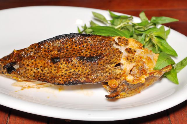  Kugelfisch, Malaysia, gestorben, tot