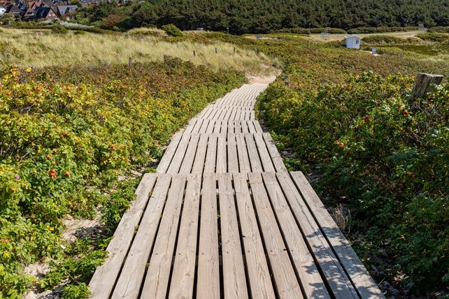 Walter's Hof, Pleite, Kampen, Sylt