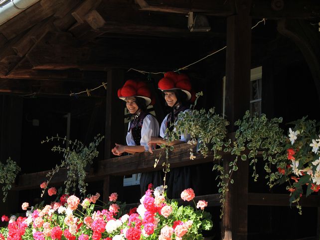 Bollenhut, Schwarzwald, Tourismus