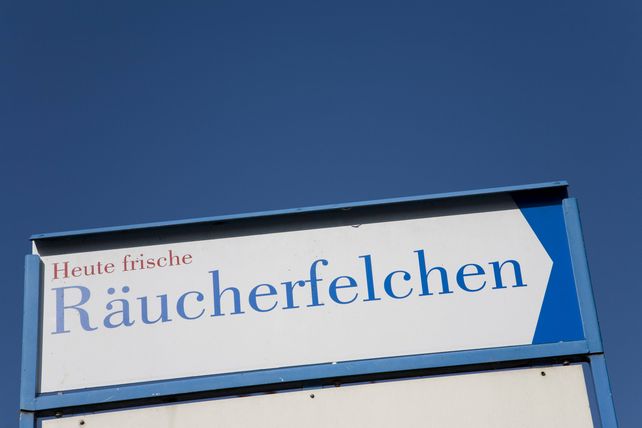 Blaufelchen, Fangverbot