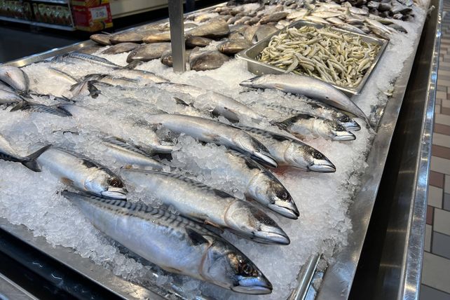 Fisch, Meeresfrüchte