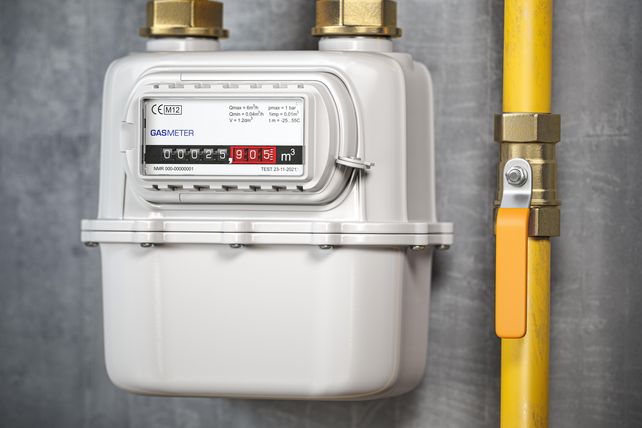 Gaspreisbremse, Januar 