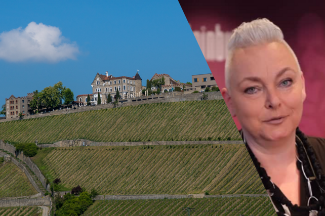 Hotel Steinburg Würzburg, Kerstin Bezold, Schlosshotel Steinburg, Respektlosigkeit Gäste, Hotellerie Konflikte, Gastro-Beschäftigte, Würzburg Hotel, Gastronomie Respekt, Mitarbeiter Schutz Hotellerie, Dienstleistungsgewerbe Respekt