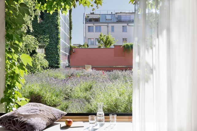 Cocoon Hotels, Boutiquehotel Stadthalle, Hotelübernahme Wien, nachhaltige Hotellerie, Lifestylehotel, Hotel Rudolfsheim-Fünfhaus, Hotel Westbahnhof Wien, Hotelrenovierung 2026, Hotellerie Österreich, Michaela Reitterer, Elfi Harrer, Harald Witulski, Marvin Kaiser