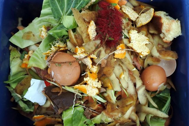 Lebensmittelverschwendung