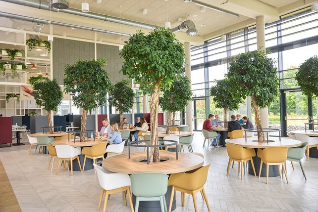 Allianz für Verantwortungsvolle Esskultur, Gemeinschaftsgastronomie, Ernährungssystem, AVE