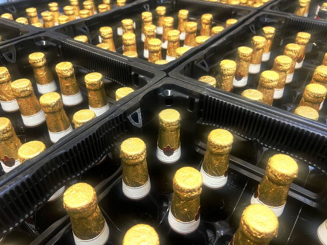 Radeberger, Oetker, 2023