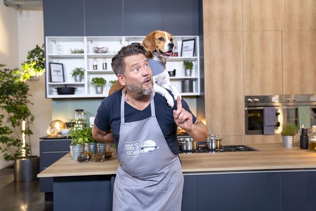 Hundefutter, Mike Süsser, TV-Koch, Platinum, Tiernahrung, Humanisierung, Fleischsaftgarung, Premiumnahrung, Dog’s Kitchen, YouTube, Markttrends 2026, Haustierbesitzer