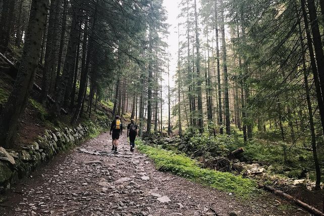 Erlebnisse, RevPAR, Hotels 