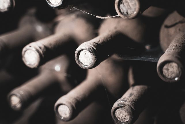 Wein 1811 Versteigerung