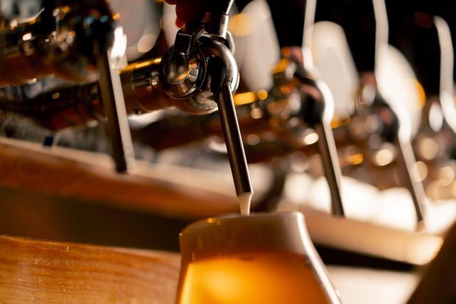 Bier, Konsum, gastro