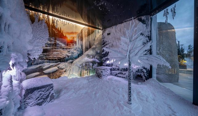 Hotel Das Stemp, Stemp Oasee, Wellness, textilfreier Freiraum, Naturpool, Seesauna, Schneeraum, Granit-Whirlpool, Schaukelwald, Wellnessurlaub, Bayern.