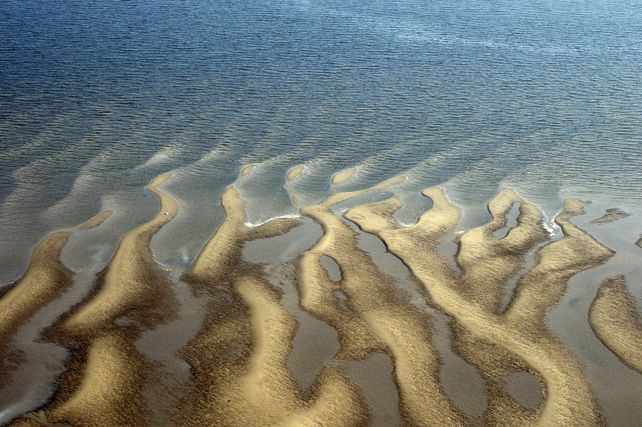 Wattenmeer 