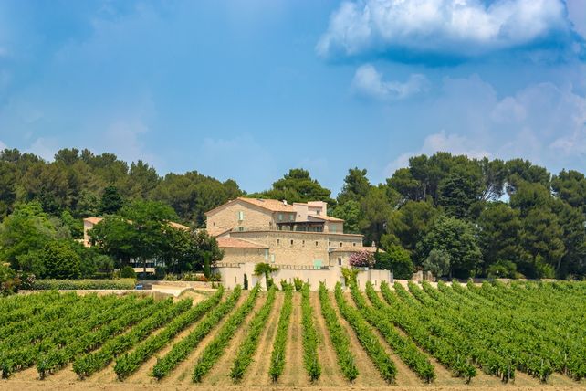 Frankreich Weinernte 2026, Weinproduktion Frankreich, Weinlese Frankreich, Agreste, französischer Wein, Trockenheit Frankreich, Champagne Weinernte, Bourgogne-Beaujolais, Bordelais Weinproduktion, Languedoc-Roussillon