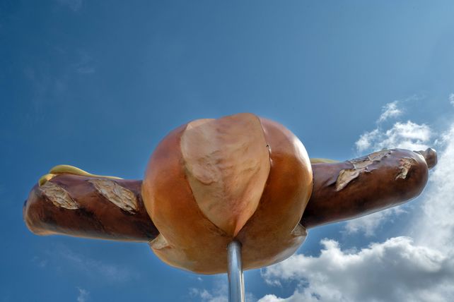 Thüringer Rostbratwurst 