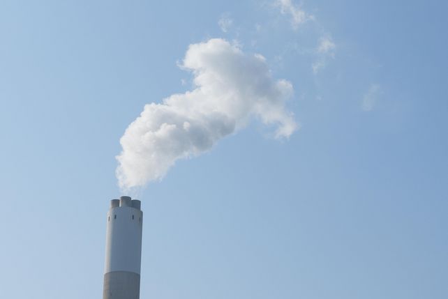 Klimaschutz, Arbeitgeber