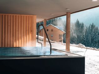 Berghotel Wald und Wiesn, Balderschwang, Hotelentwicklung Oberallgäu, Hotelsanierung, Tagungshotel, Wellnessangebot, Matthias Lenz, Tourismus Allgäu, energetische Modernisierung