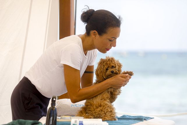 Hunde-Spa 