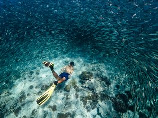 Fregate Island, Wiedereröffnung, Seychellen, Neubau, Artenschutz, Nachhaltigkeit, The Owner’s Estate, Plantation House, Selbstversorgung, Aldabra-Riesenschildkröten, Seychellendajal, Herbst 2026.