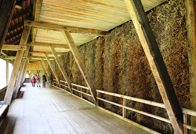Gradierwerk Bad Sulza, Wein 