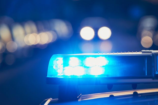 Polizei, Hamburger, Restaurant, Milo