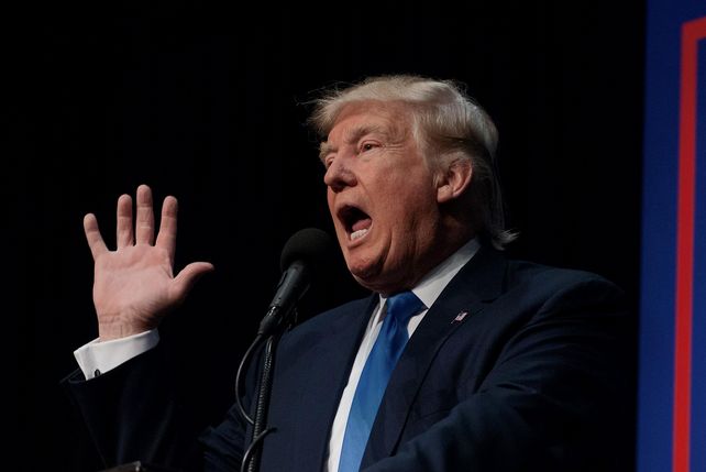 catering, container, laster, Präsident, USA, donald trump