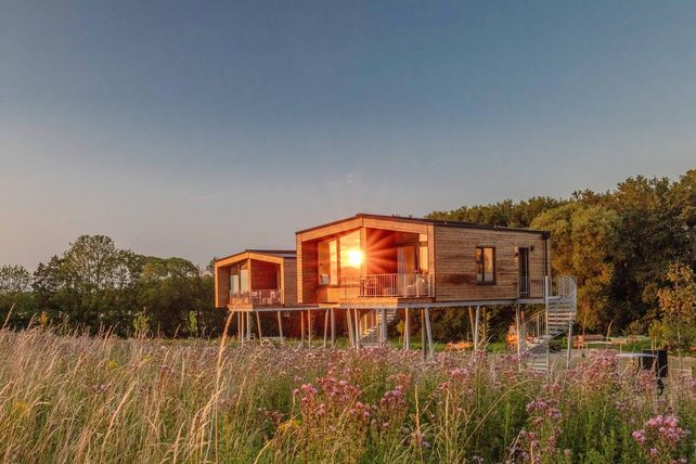 Ostsee Baumhaushotel, Baumhäuser, Ostholstein, Tourismus, Natururlaub, Übernachtung, Hotel, Erweiterung, Tatjana Danz, Oliver Jenny, Natur-SPA