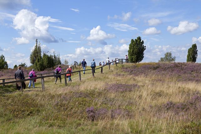 Heide, Harz, Buchungen
